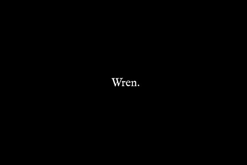 Video © Paul Raftery